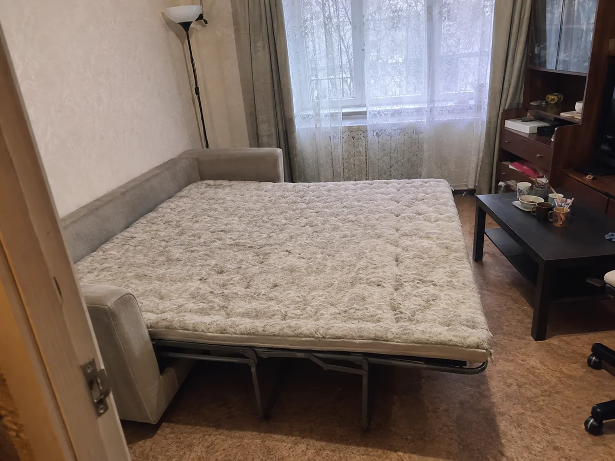 Шерстяной топпер, собачья шерсть — до химчистки